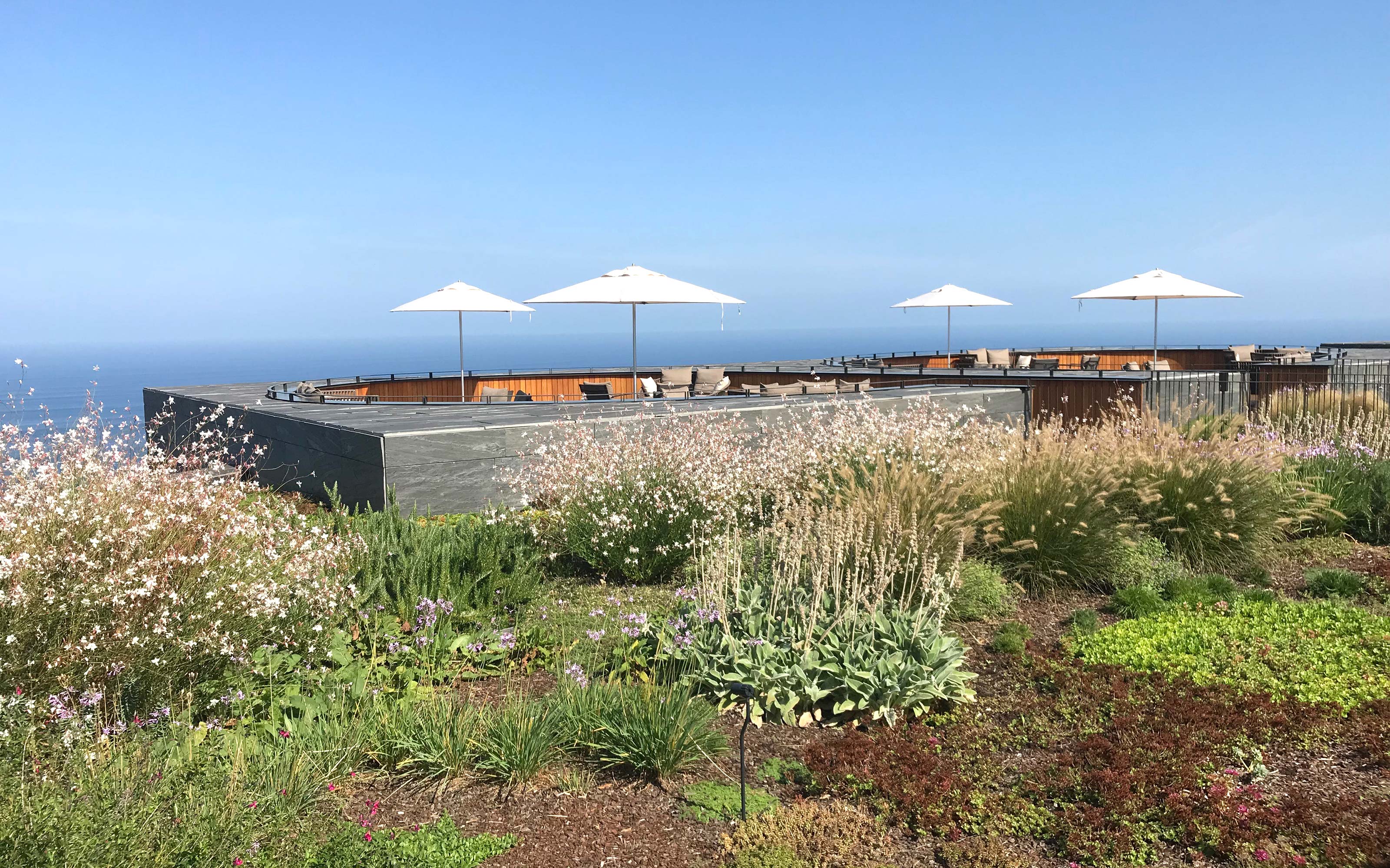 The vegetation is established well since being planted in 2017. Herbs, ornmental grasses and perennials in front of a terrace